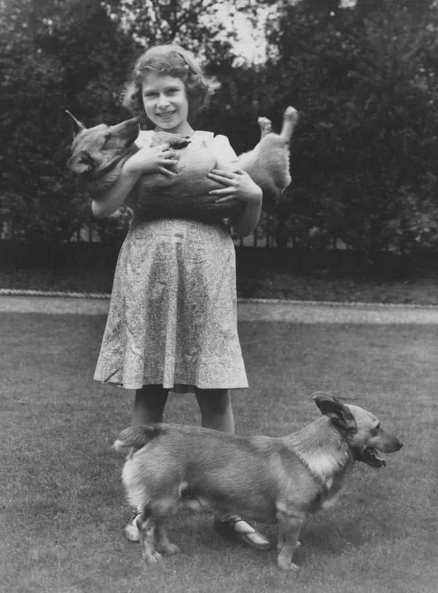 英国女王和她的爱犬们