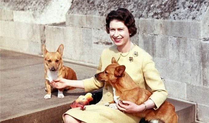 英国女王和她的爱犬们