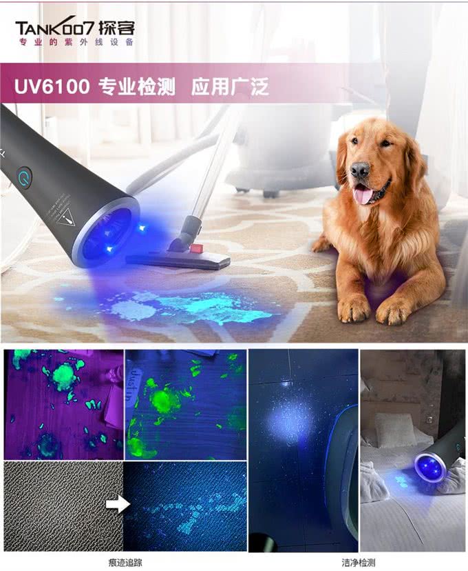 据说99%养宠物的人都会遇到的问题:宠物尿液怎么找?
