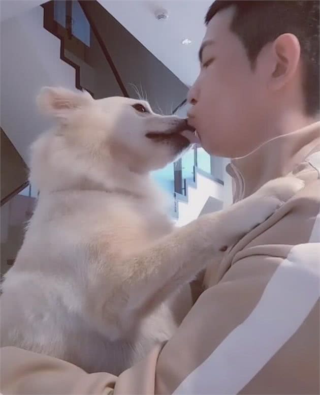 这些错误的抱狗方式，你还在用?难怪狗狗讨厌你