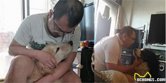 黄金猎犬最爱爸爸!每天给爸爸当枕头才睡得香,直到觉得热才离开