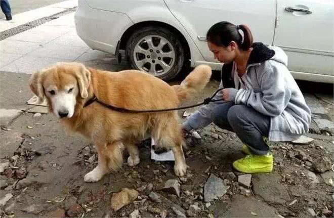 5种会折寿的养狗方式，劝你趁早收手