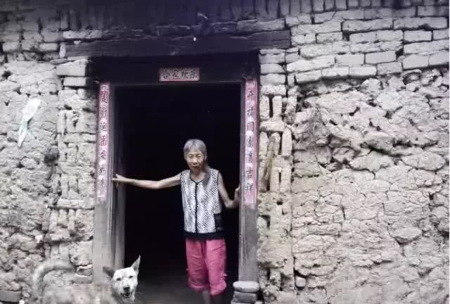 哮天犬是什么品种?致那些陪伴我们成长的小土狗