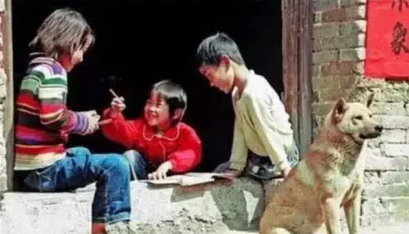 哮天犬是什么品种?致那些陪伴我们成长的小土狗