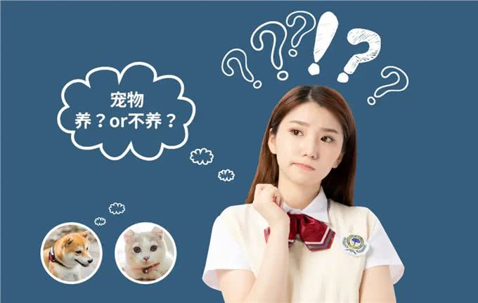 速看!养宠物你不得不知的清洁知识!终于看到这么全面的讲解了