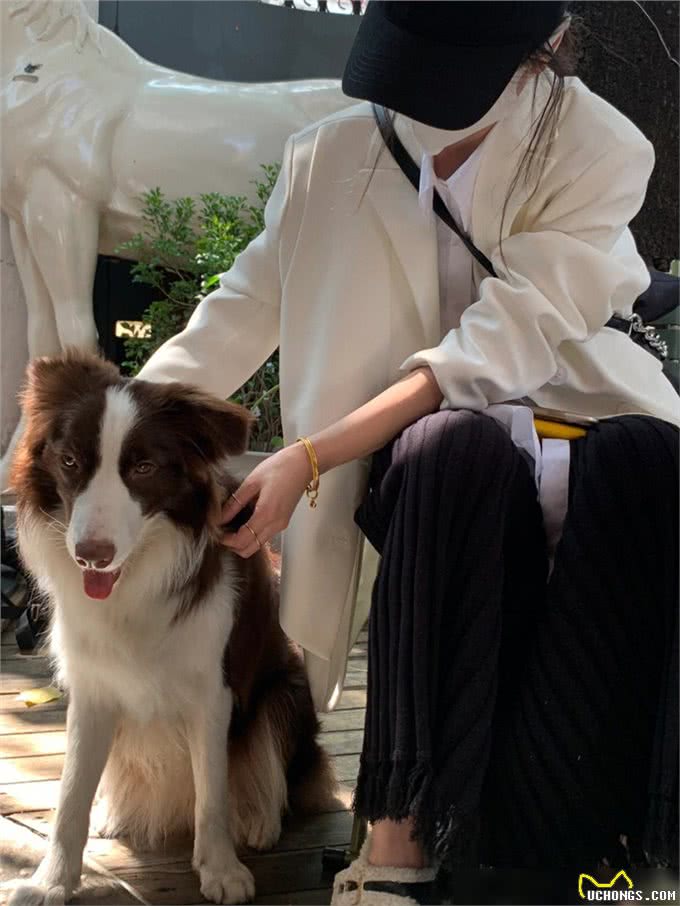 不懂就问，狗在交配时，屁股会连在一起?