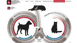 猫狗心丝虫症初期没症状宠物饲主宜注意