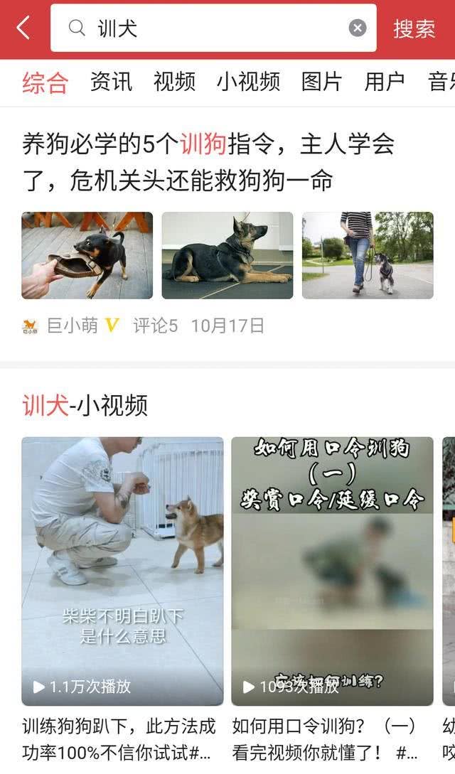 兴奋、胆小、凶猛，要让这几种狗狗乖乖听话，主人要注意这些
