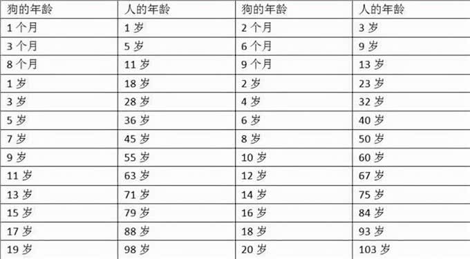 判断狗狗是否老了?中了3个就证明进入老年期了