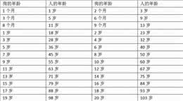 判断狗狗是否老了?中了3个就证明进入老年期了