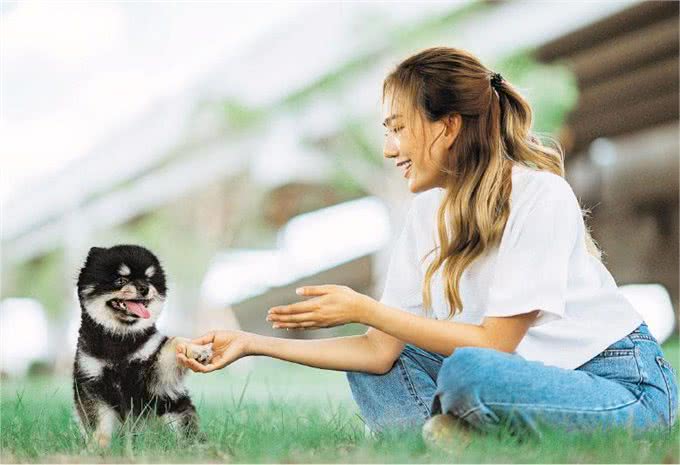 狗狗出门晕车?让狗狗坐车轻松自在的经验分享