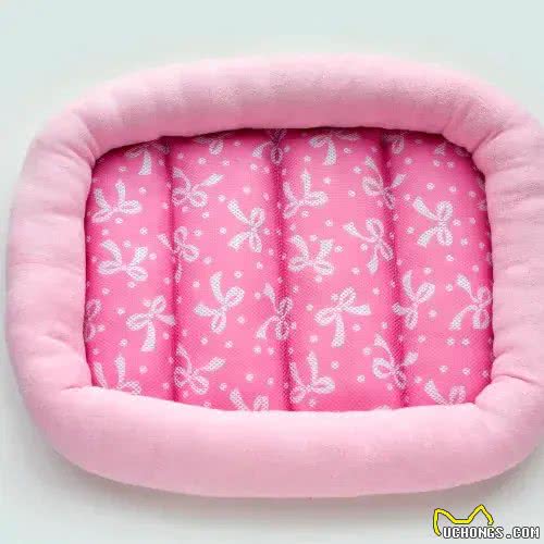 新手必看?/想养狗的朋友们需要养狗用品看这篇清单就够了