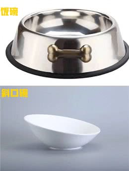 新手必看?/想养狗的朋友们需要养狗用品看这篇清单就够了