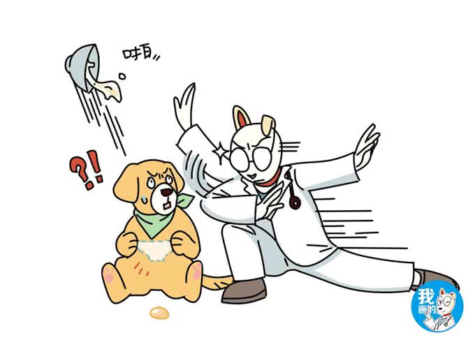 狗狗总是喜欢舔你耳朵?别慌，这是在向你表达爱意呢