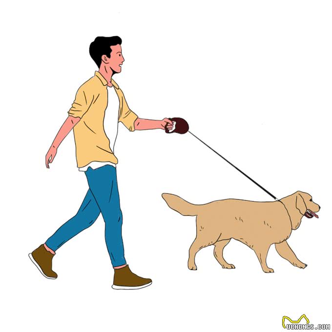 遛狗的正确套路—除了牵绳还要做些啥?