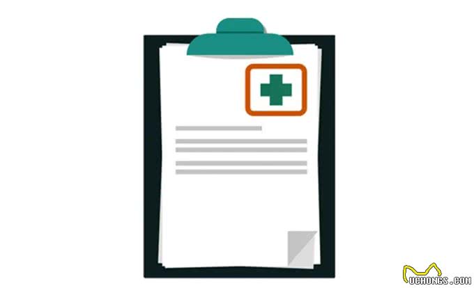 遛狗的正确套路—除了牵绳还要做些啥?