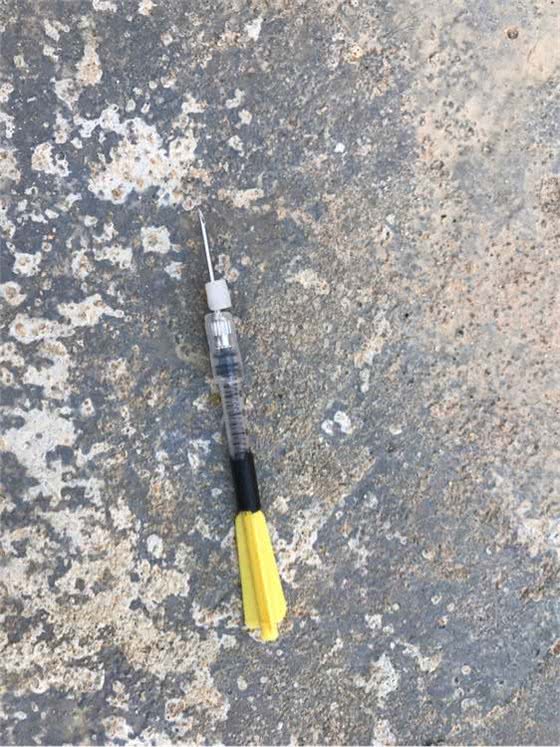 狗狗中毒了，有解药吗?应该怎么样做?
