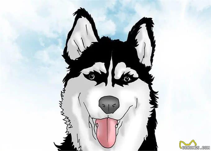 如何让狗停止吠叫