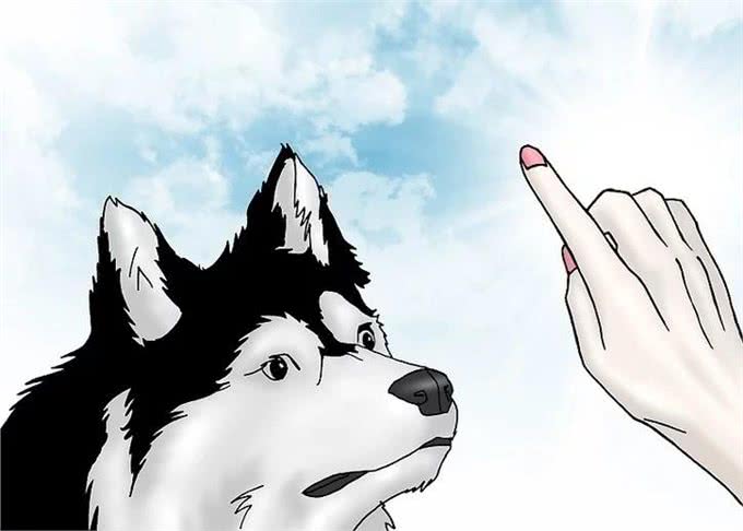 如何让狗停止吠叫