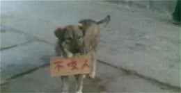 子非狗，安知狗不咬人?