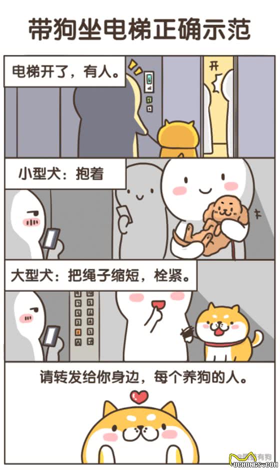 大爆笑!电梯里对狗子说坐下,结果旁边的小孩儿坐下了哈哈哈哈或