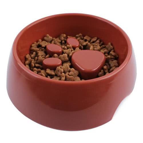 狗狗吃饭狼吞虎咽,不怕噎着吗?主人该怎么让它慢慢吃?