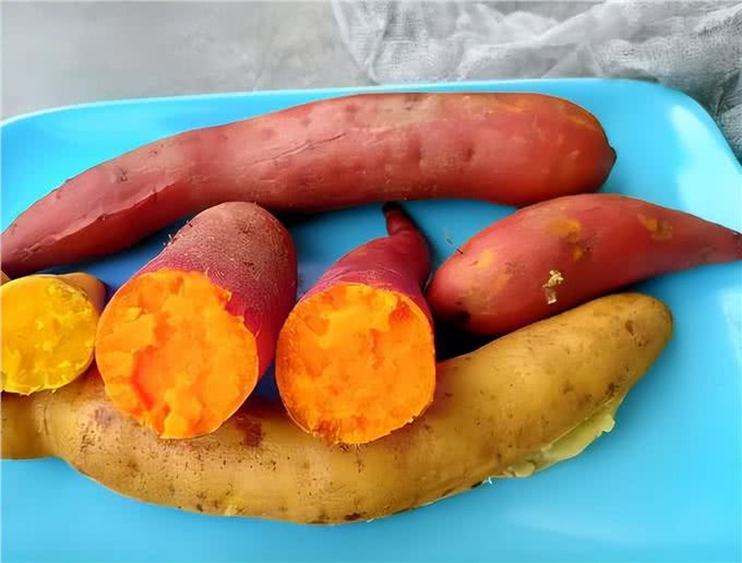 不怕告诉你，这9种食物对狗狗来说，堪称人间美味