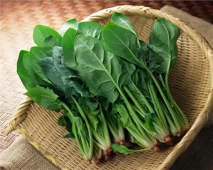不怕告诉你，这9种食物对狗狗来说，堪称人间美味