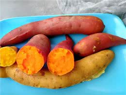 不怕告诉你，这9种食物对狗狗来说，堪称人间美味