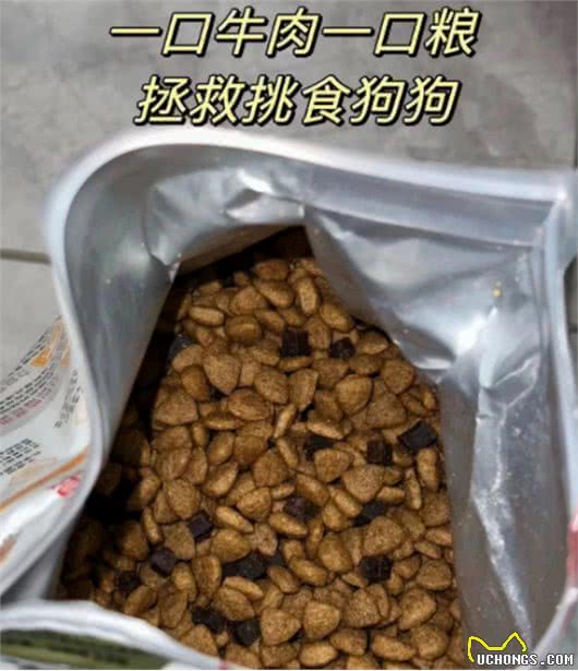 一口牛肉一口粮吃出健康小狗