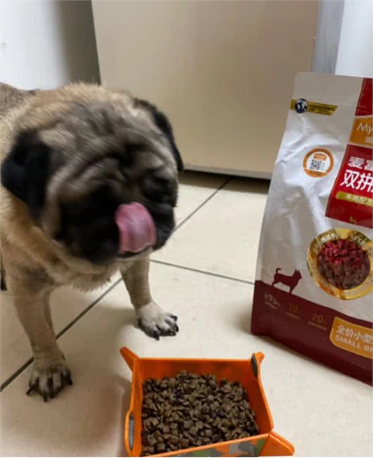 一口牛肉一口粮吃出健康小狗