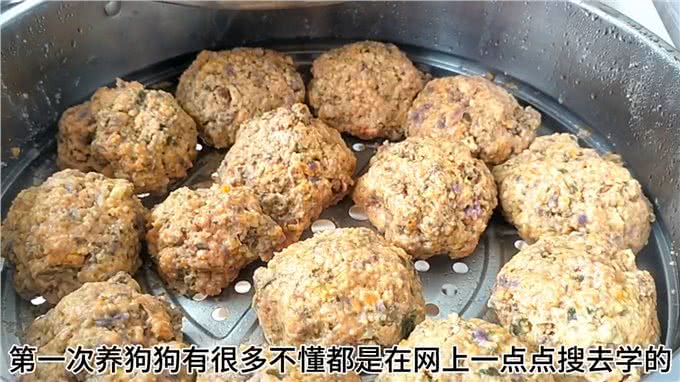 我的狗狗虽然不值什么钱,但是它很好也很可爱—狗狗?