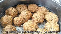 我的狗狗虽然不值什么钱，但是它很好也很可爱—狗狗?