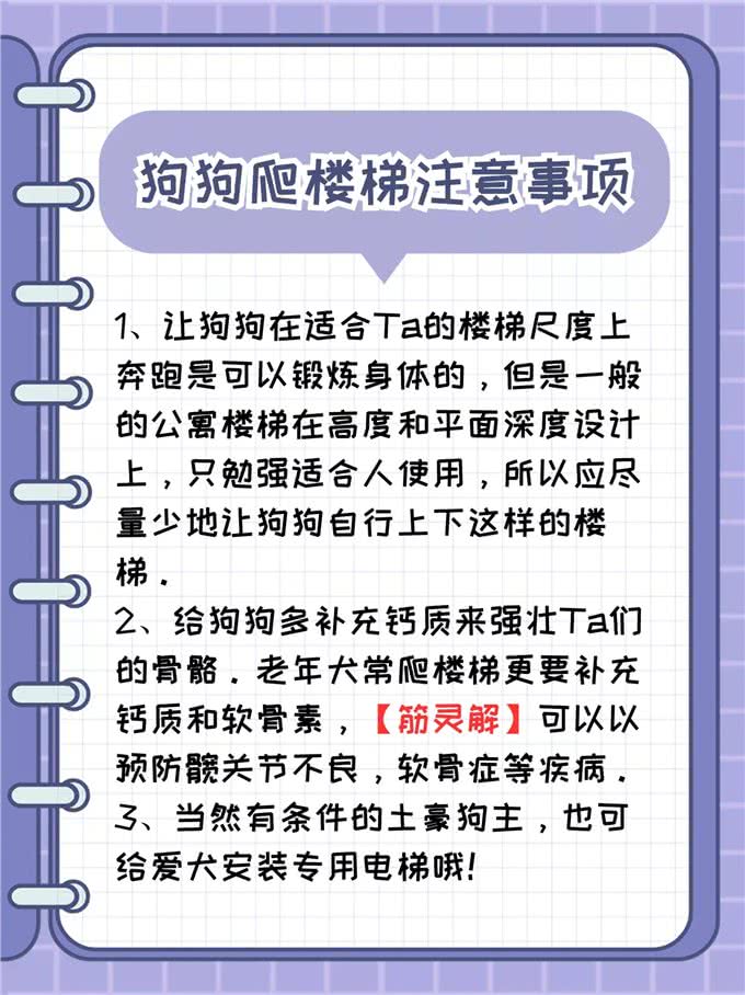 狗狗爬楼梯的危害看过来!