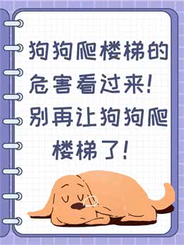 狗狗爬楼梯的危害看过来!