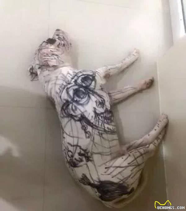 小孩子特别喜欢狗狗，妈妈要不要领养一只狗呢?