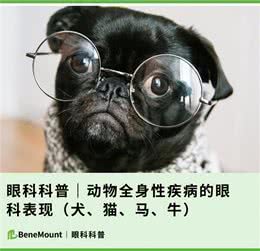 眼科科普|动物全身性疾病的眼科表现(犬、猫、马、牛)