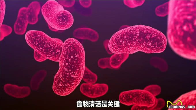 养狗知识科普，狗狗中毒有什么症状你知道吗?别慌
