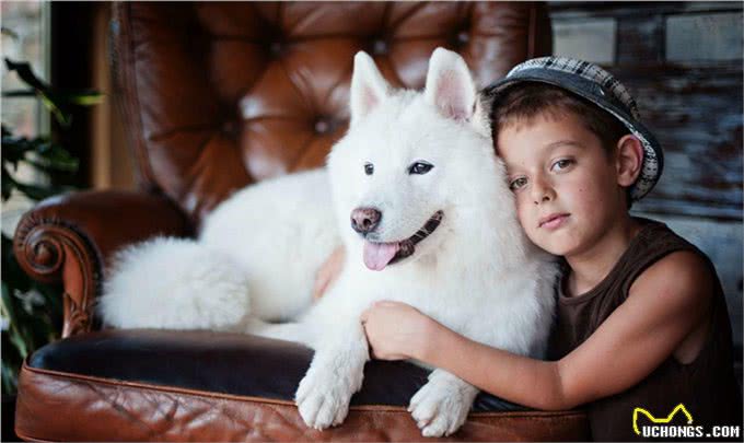 狗得了犬瘟热怎么办?眼看着狗死吗?这是最有效的治疗预防办法!
