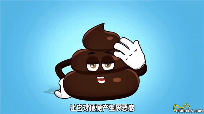 养狗经验分享，轻松几招让狗狗告别吃大便