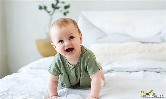 小猫pk人类幼崽…它们的聪明真的超乎想象!