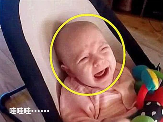 让狗狗照顾小婴儿,几秒后听不到哭声,主人走近一看差点喷饭