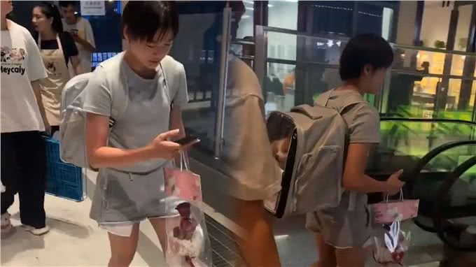 全红婵买的柯基犬是什么品种?