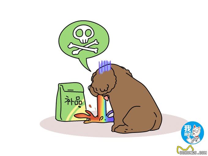 狗狗身体发抖是什么原因，仅仅因为怕冷?很可能是生病了