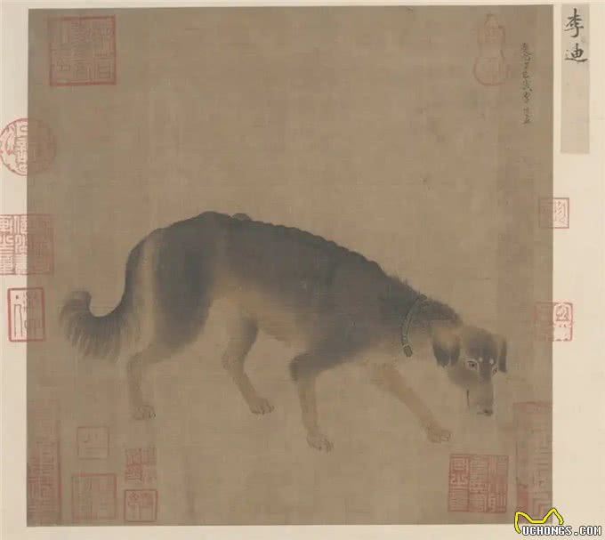 狗狗的历史:越无用，越高级
