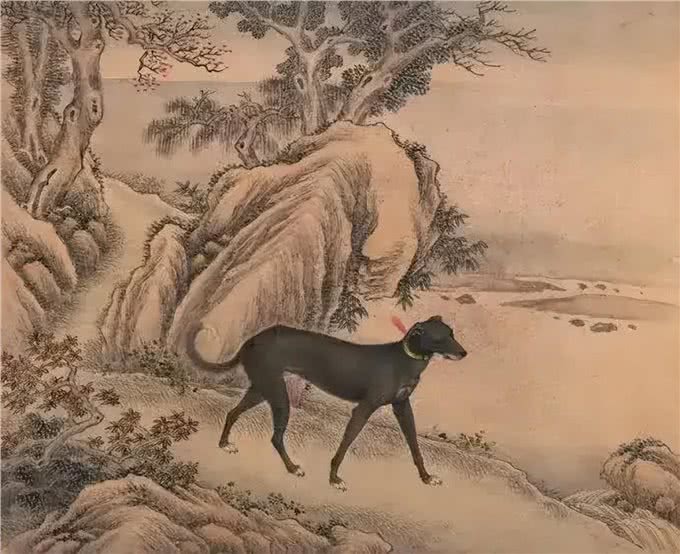 狗狗的历史:越无用，越高级
