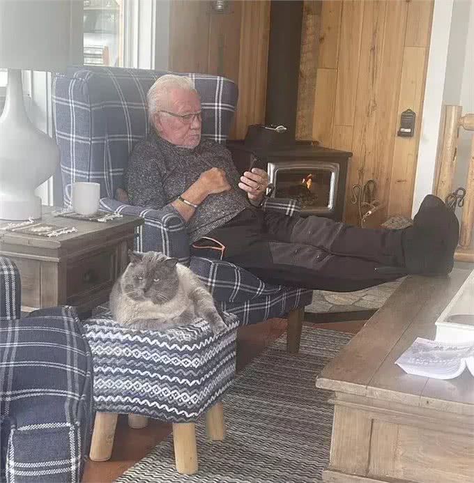 大叔对猫无感,遇到这只猫后变猫奴,网友笑:一看就是像亲生的!