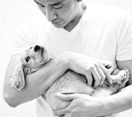 不舍帅爸出门上班，超暖黄金猎犬给他抱抱让人融化:你要早点回来