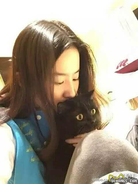 宠物猫的幸福生活,主人是刘亦菲