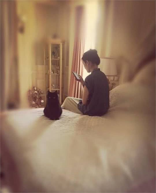 宠物猫的幸福生活,主人是刘亦菲